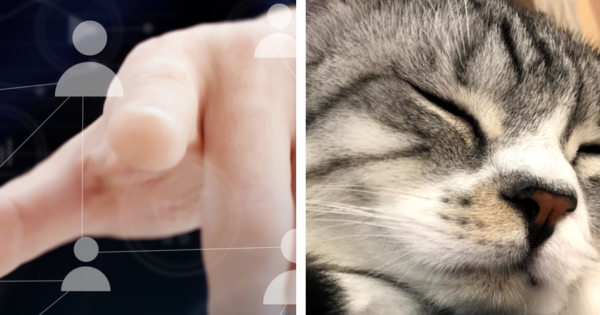 人の指と猫の鼻のアップ