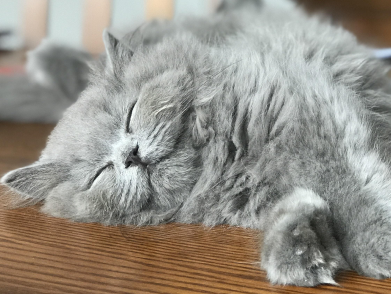 Q Pdpwa4eejonm Q Pdpwa4eejonm