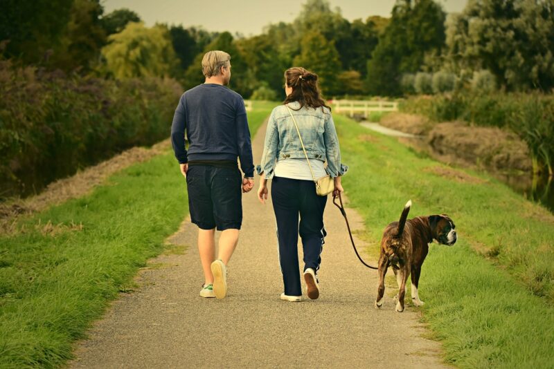 犬と散歩する夫婦